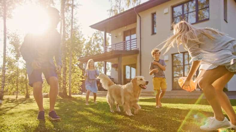 A family with two children and a dog play together on the lawn outside a modern house on a sunny day.