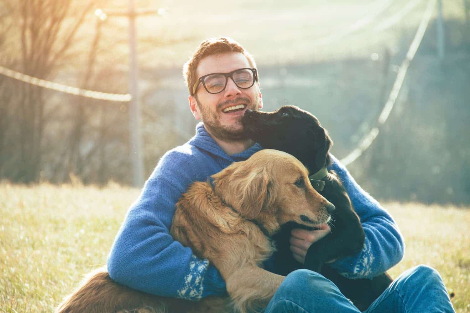A man wearing glasses sits on grass, smiling while hugging a golden retriever and a black dog, with sunlight in the background.