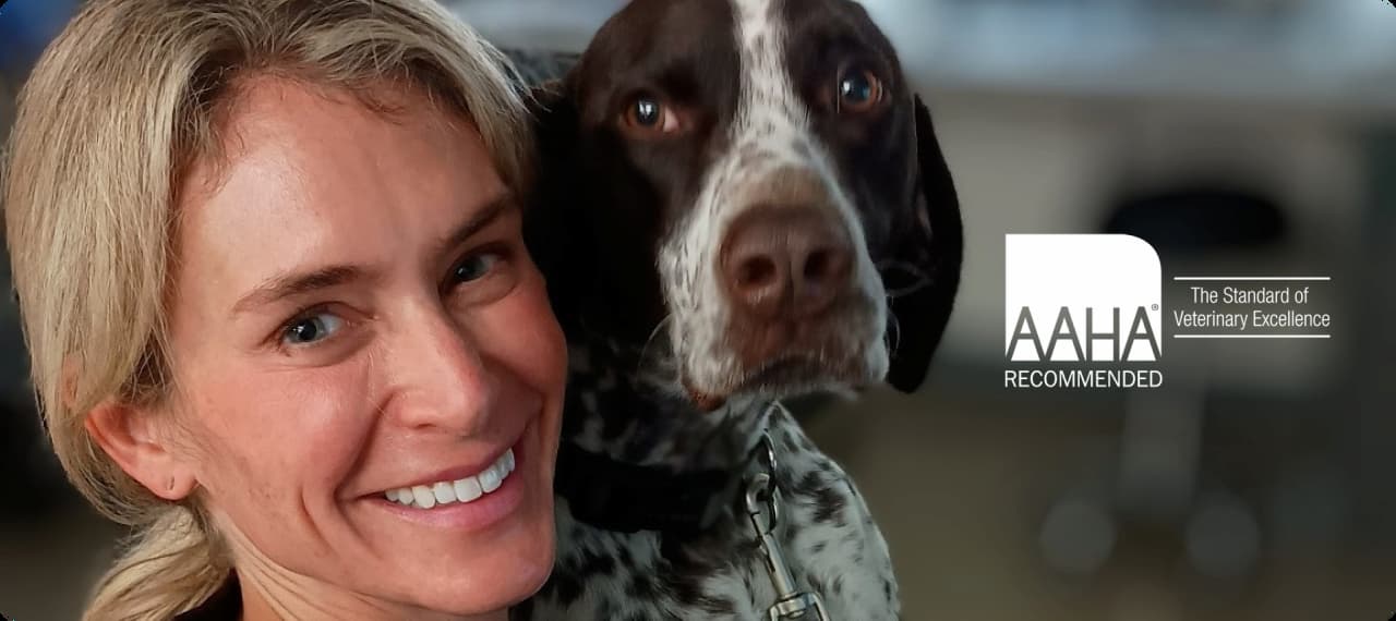 A smiling woman poses with a brown and white dog. The AAHA Recommended logo and "The Standard of Veterinary Excellence" text appear on the right.