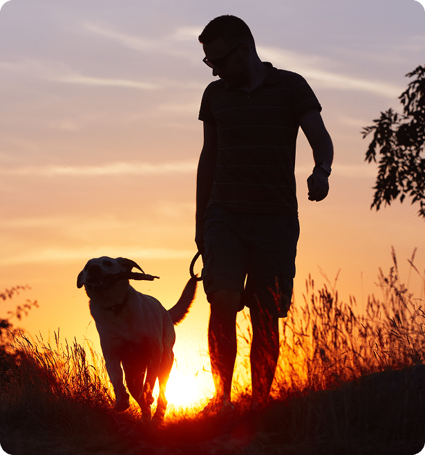 A person walking a dog on a grassy path at sunset, both silhouetted against an orange and purple sky.