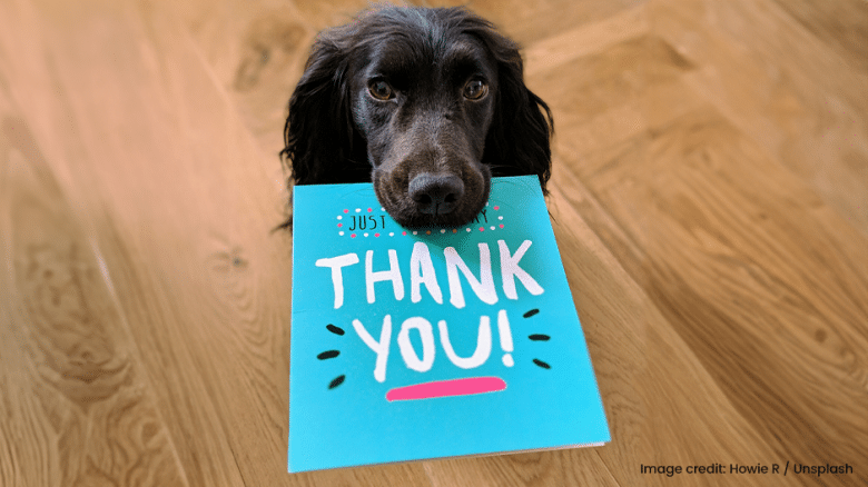 A black dog holds a blue card with the words "Thank You!" written on it; the dog is standing on a wooden floor.