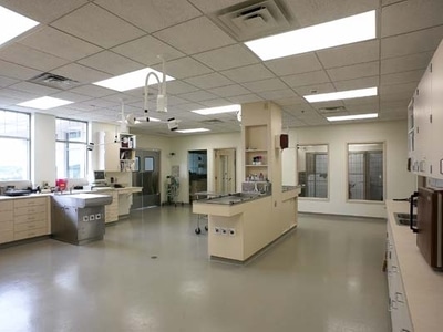 A clean, modern laboratory with bright overhead lighting, white cabinets, stainless steel equipment, and large windows along one side.